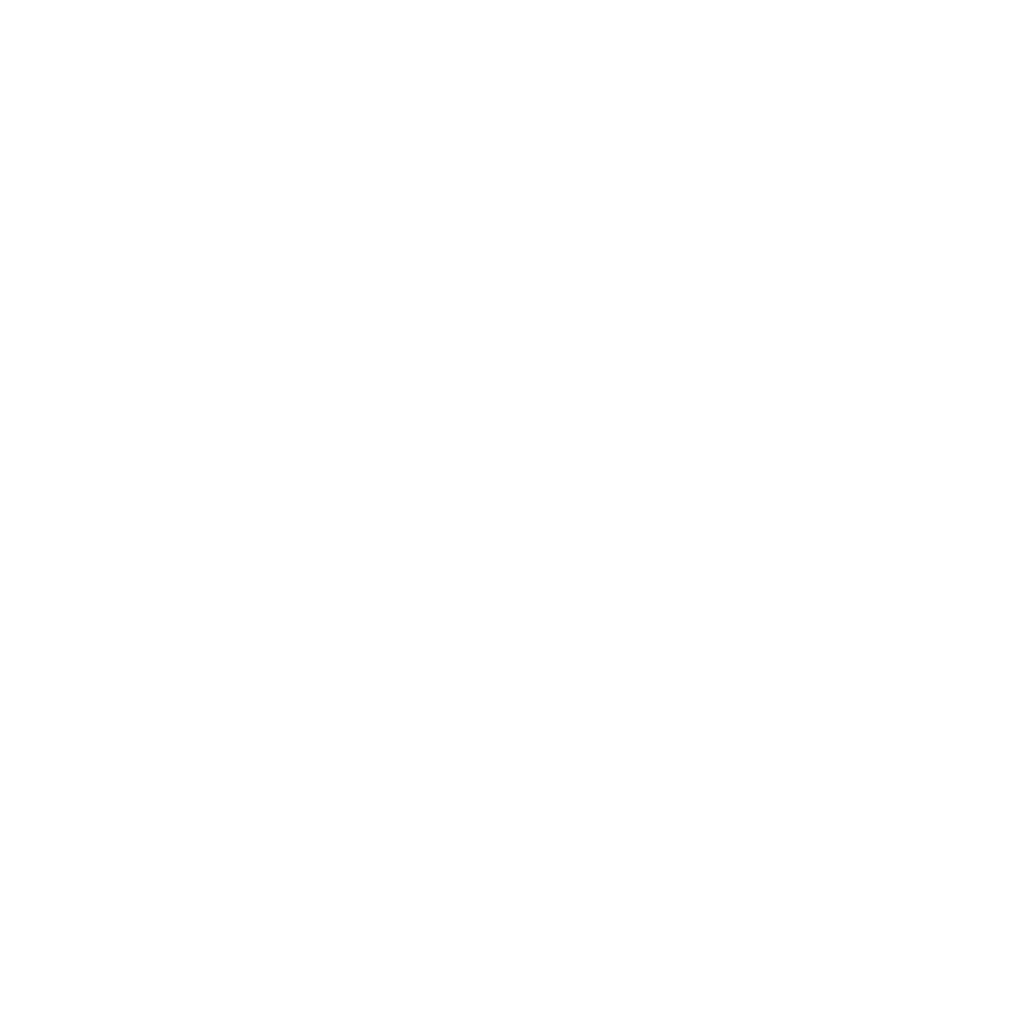 Icona Flushable Biwet